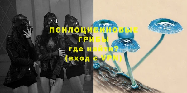 мяу мяу мука Куйбышев