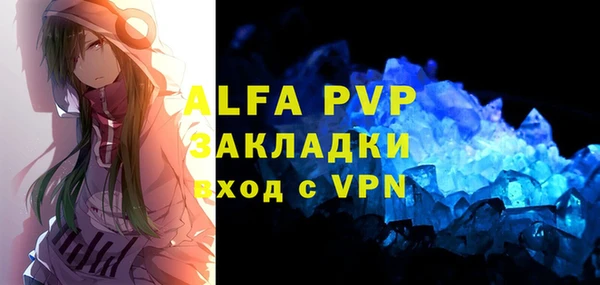 прущие грибы Кулебаки