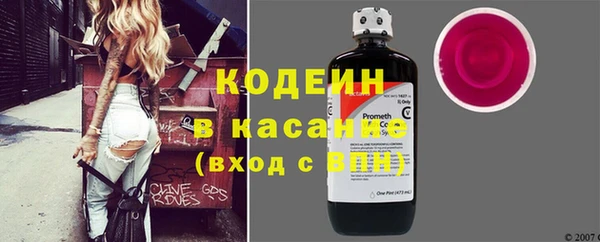 прущие грибы Кулебаки