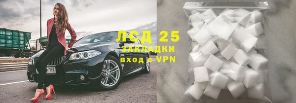 прущие грибы Кулебаки