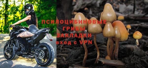 a pvp Кукмор