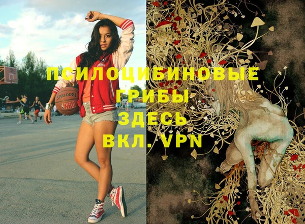 a pvp Кукмор