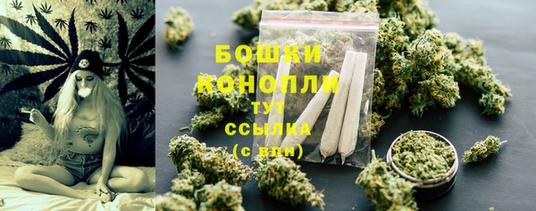 прущие грибы Кулебаки