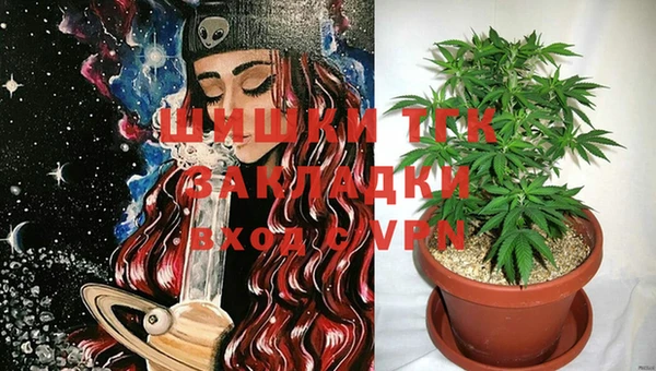 прущие грибы Кулебаки