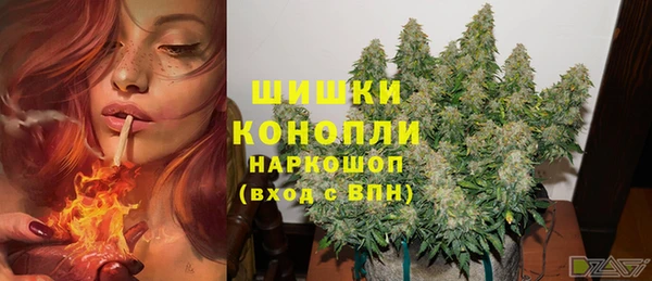 прущие грибы Кулебаки