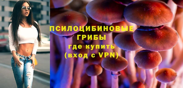 a pvp Кукмор