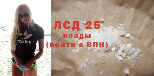 прущие грибы Кулебаки